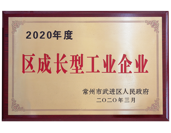 2020年度區(qū)成長型工業(yè)企業(yè)